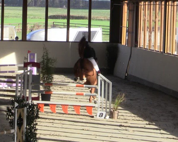 Reitturnier Fleesensee Classic´s 2024
