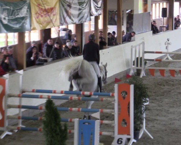 Reitturnier Fleesensee Classic´s 2024