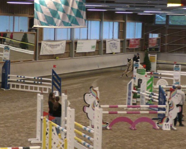 Reitturnier Krombach/Hof-Hauenstein/Ufr. 2024