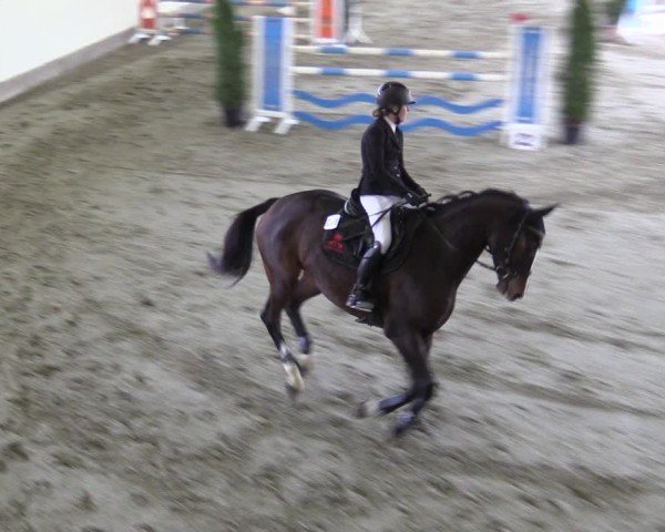 Reitturnier Fleesensee Classic´s 2024