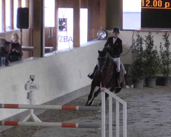 Reitturnier Fleesensee Classic´s 2024