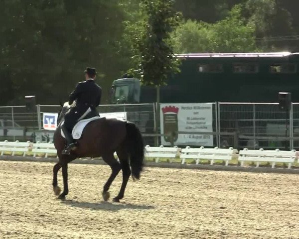 60. Lobbericher Reitsportfestival 01.-04.08.2013