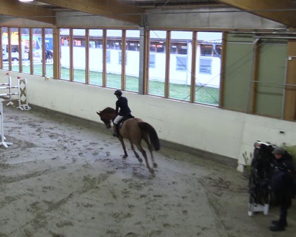 Reitturnier Fleesensee Classic´s 2024