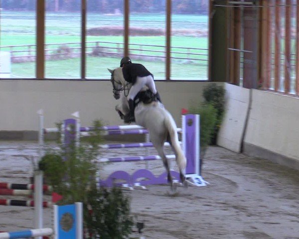Reitturnier Fleesensee Classic´s 2024