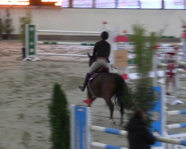 Reitturnier Fleesensee Classic´s 2024