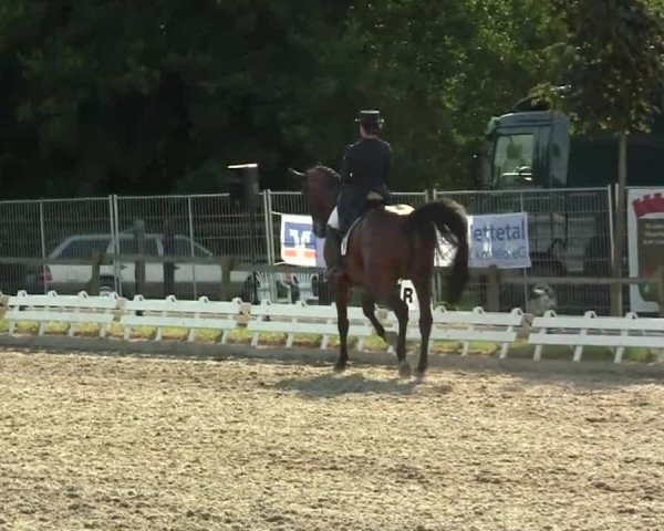 60. Lobbericher Reitsportfestival 01.-04.08.2013
