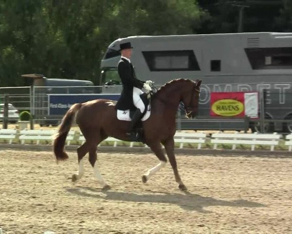 60. Lobbericher Reitsportfestival 01.-04.08.2013