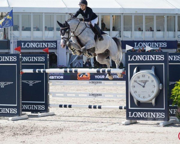 jumper Carlsson Hc (Holsteiner, 2014, from Clarimo Ask)