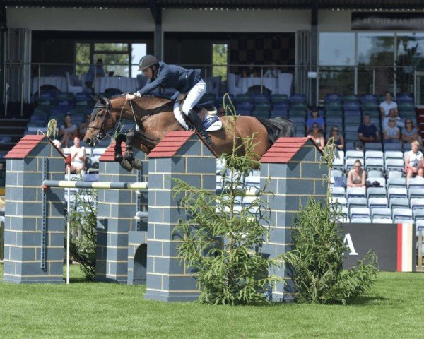 jumper Curprice (KWPN (Royal Dutch Sporthorse), 2007, from No Limit)