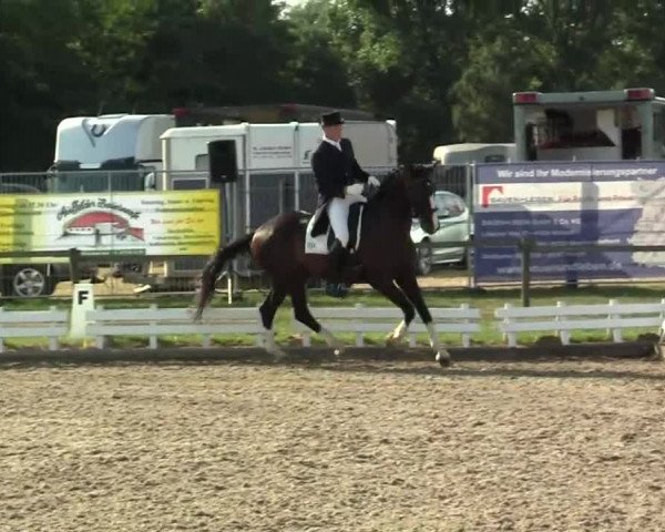 60. Lobbericher Reitsportfestival 01.-04.08.2013