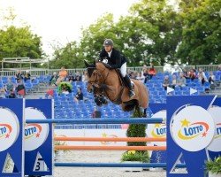 jumper Sandra Blue (Oldenburg show jumper, 2010, from Sandro Boy)
