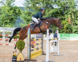jumper Kadira 5 (German Sport Horse, 2018, from Canoso)