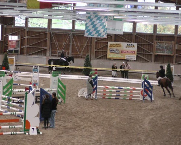 Reitturnier Krombach/Hof-Hauenstein/Ufr. 2024