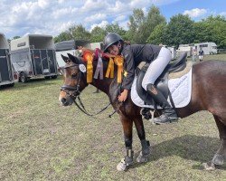 broodmare Eileen 81 (Welsh, 2006, from Erileen Bachgen Balch)