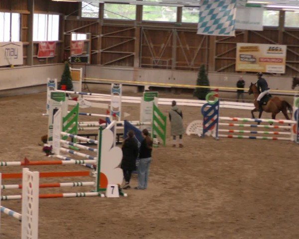 Reitturnier Krombach/Hof-Hauenstein/Ufr. 2024