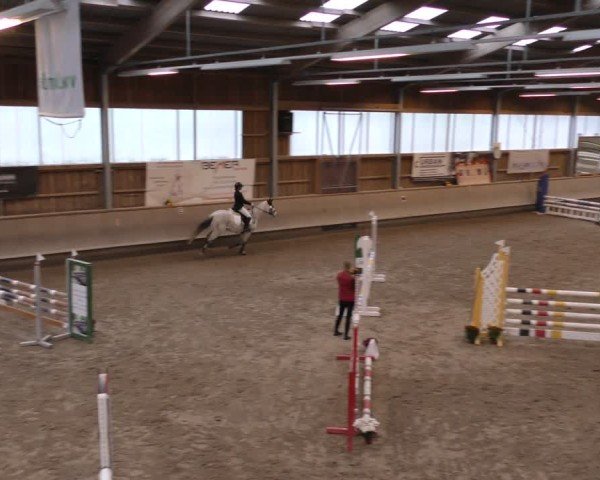 Reitturnier Krombach/Hof-Hauenstein/Ufr. 2024