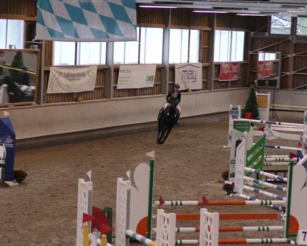 Reitturnier Krombach/Hof-Hauenstein/Ufr. 2024