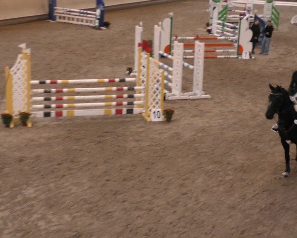 Reitturnier Krombach/Hof-Hauenstein/Ufr. 2024