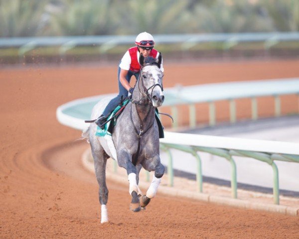 horse Saudi Crown xx (Thoroughbred, 2020, from Always Dreaming xx)