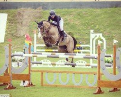 jumper Imette (KWPN (Royal Dutch Sporthorse), 2013, from Bustique)