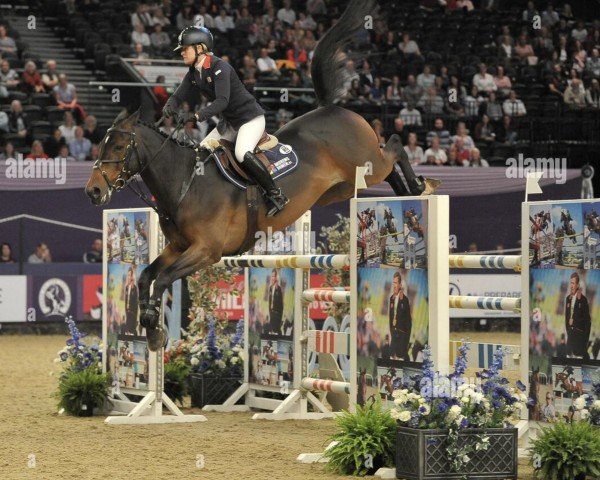jumper Wilando B (KWPN (Royal Dutch Sporthorse), 2003, from Oklund)