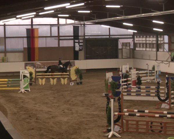 Reitturnier Marl, Reithalle Rohmann 2024