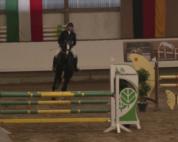 Reitturnier Marl, Reithalle Rohmann 2024