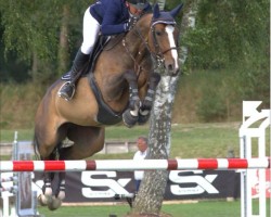 jumper Volupte de La Jarthe (Selle Français, 2009, from Air Jordan Z)