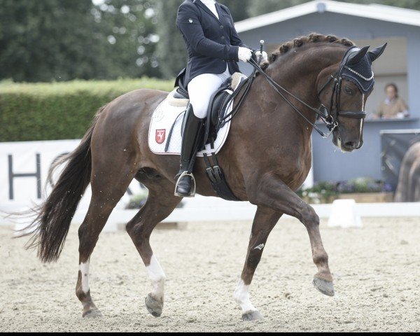 dressage horse Frosch Deluxe (Hanoverian, 2015, from Flanell)