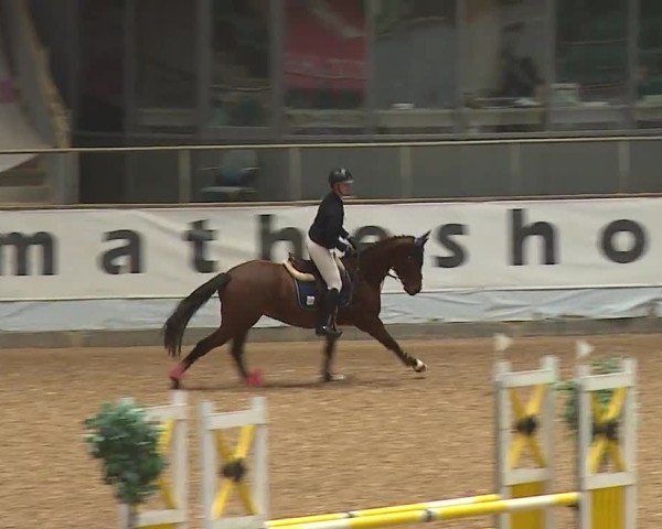 Reitturnier Kreuth/Opf. 2024