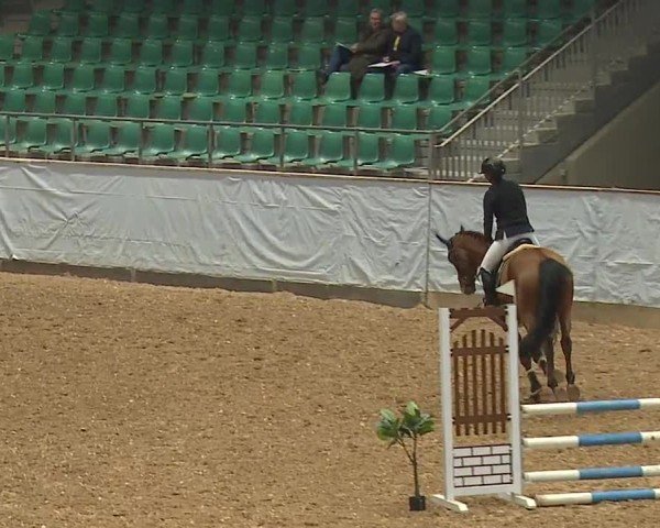 Reitturnier Kreuth/Opf. 2024
