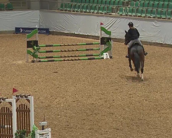 Reitturnier Kreuth/Opf. 2024