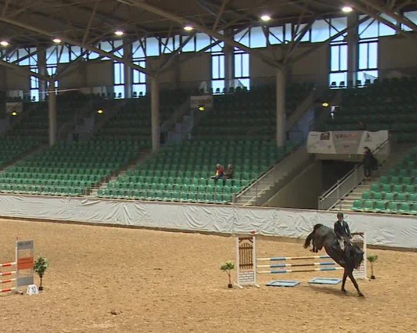 Reitturnier Kreuth/Opf. 2024