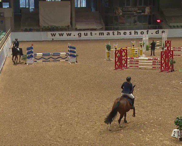 Reitturnier Kreuth/Opf. 2024