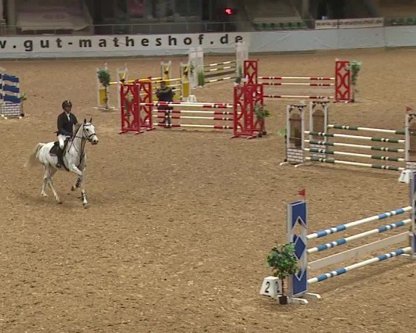 Reitturnier Kreuth/Opf. 2024