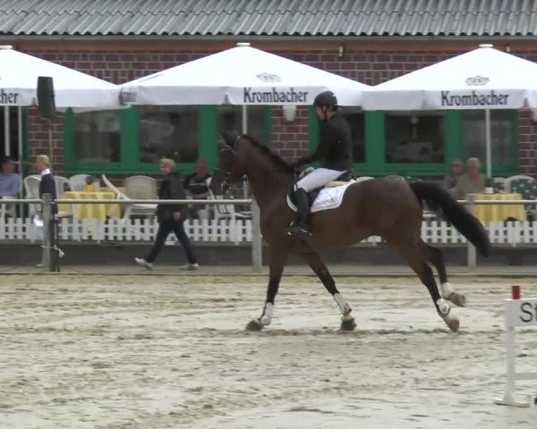 Ennigerloh-Neubeckum 2013