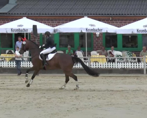 Ennigerloh-Neubeckum 2013
