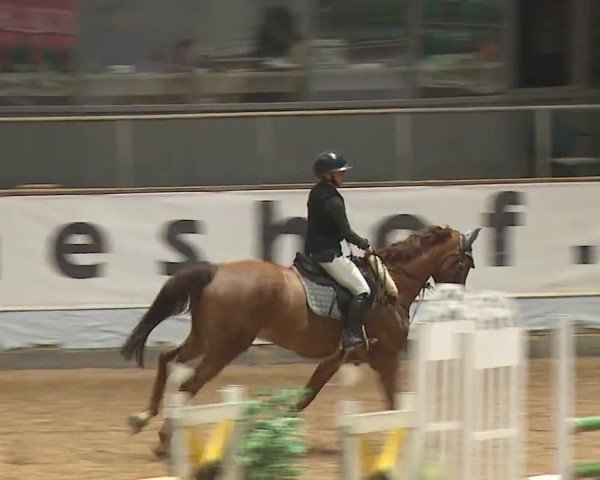 Reitturnier Kreuth/Opf. 2024