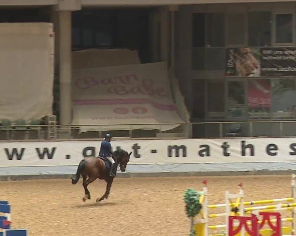 Reitturnier Kreuth/Opf. 2024