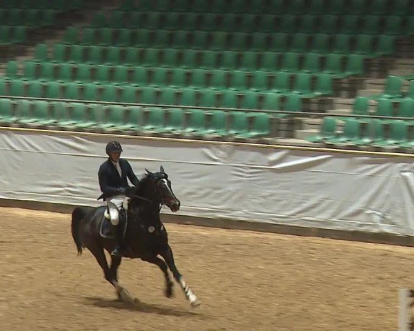 Reitturnier Kreuth/Opf. 2024