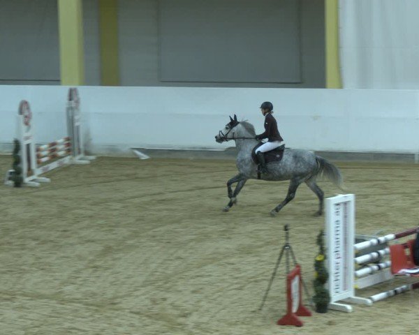 Reitturnier Stadl-Paura 2024