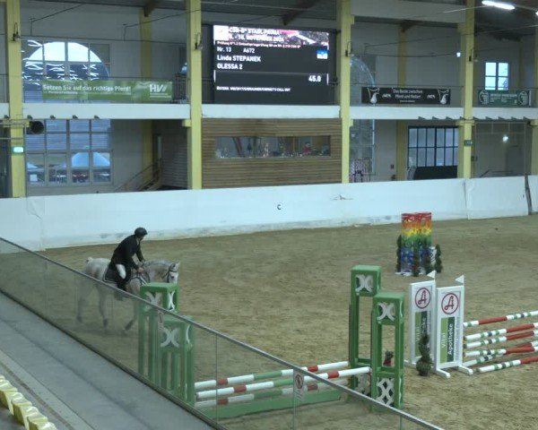 Reitturnier Stadl-Paura 2024