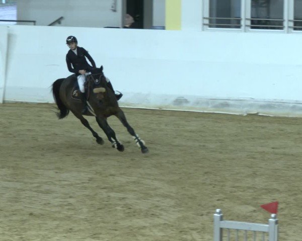 Reitturnier Stadl-Paura 2024