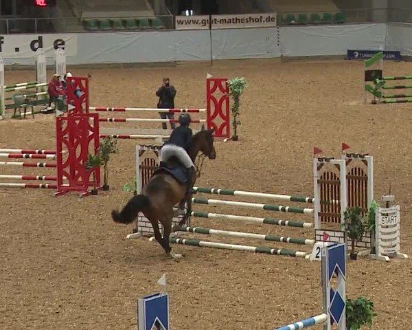 Reitturnier Kreuth/Opf. 2024