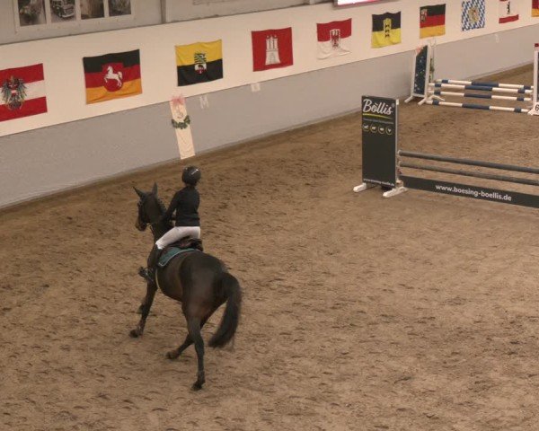 Reitturnier Legden | Ponyturnier 2024