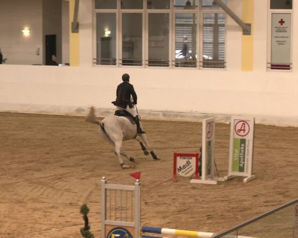 Reitturnier Stadl-Paura 2024