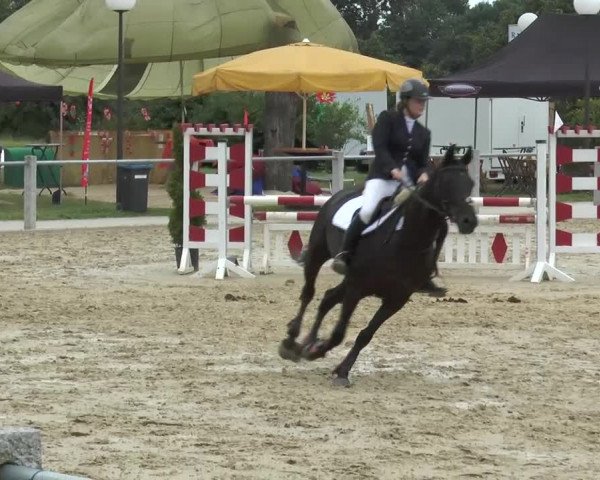 Ennigerloh-Neubeckum 2013