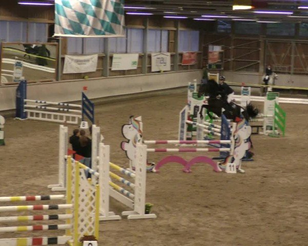 Reitturnier Krombach/Hof-Hauenstein/Ufr. 2024