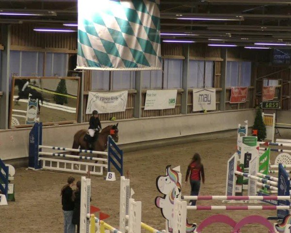 Reitturnier Krombach/Hof-Hauenstein/Ufr. 2024