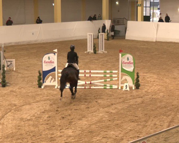 Reitturnier Stadl-Paura 2024